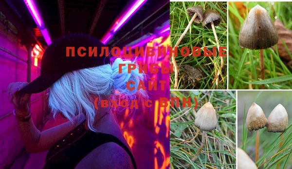 дмт Абдулино