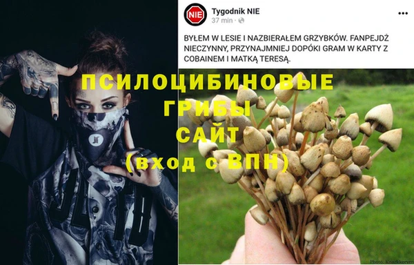 прущая мука Абаза