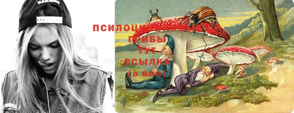 дмт Абдулино