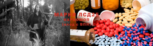 ГАЛЛЮЦИНОГЕННЫЕ ГРИБЫ Алзамай