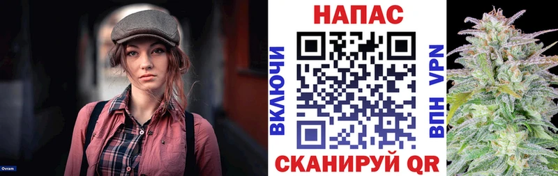Канабис планчик Котовск